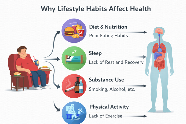 생활 습관이 건강에 영향을 주는 이유 구조 설명 이미지